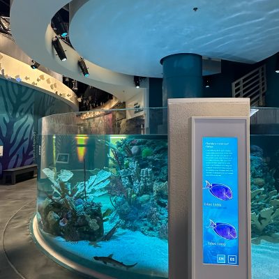 Saltwater Aquarium exhibit at Orlando Science LIFE Exhibit in Orlando Florida